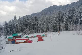 Snowfall in Seraj Valley and Janjehli Valley