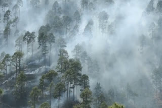 Forest Fire in Chamoli