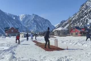 cricket-on-snow-a-cricket-pitch-in-the-middle-of-snow-covered-field