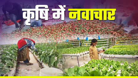 Progressive Farming In Bhilwara