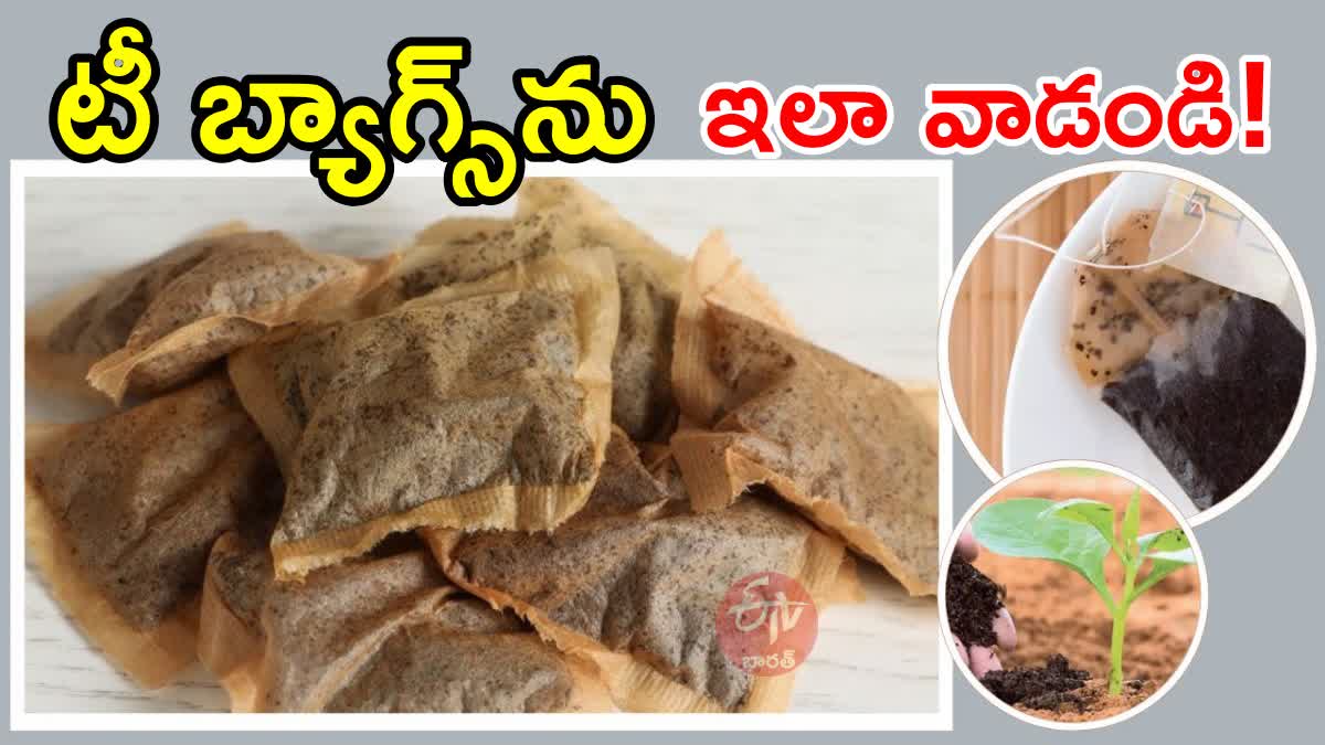 Benefits of Used Tea Bags