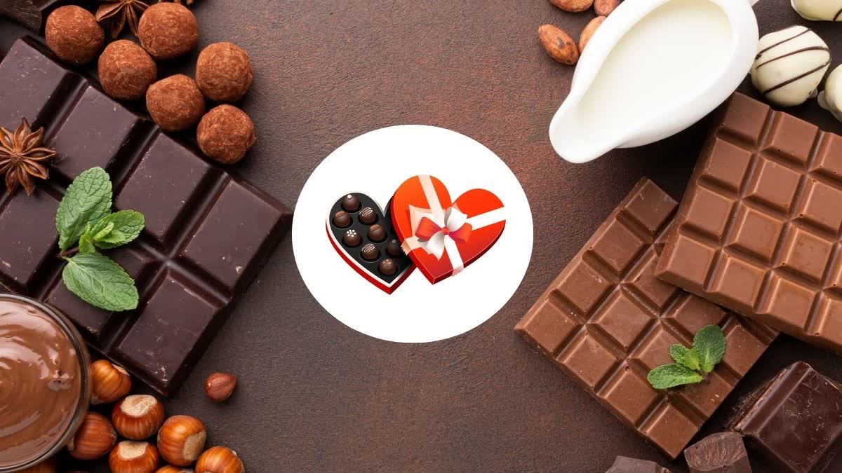 CHOCOLATE DAY  VALENTINES WEEK  VALENTINES DAY 2025