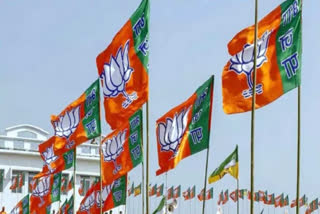 Delhi election results: Early trends show BJP leading on Shahdara and Vishwas