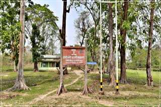 India forest encroachment report