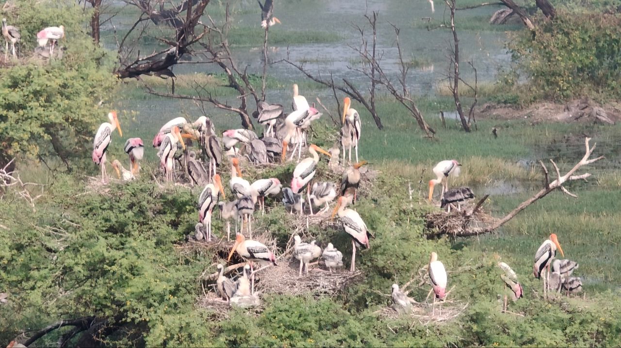 Keoladeo National Park