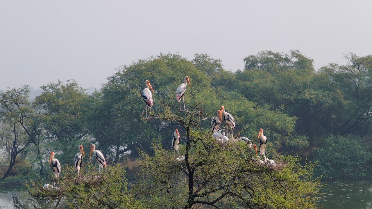 Keoladeo National Park