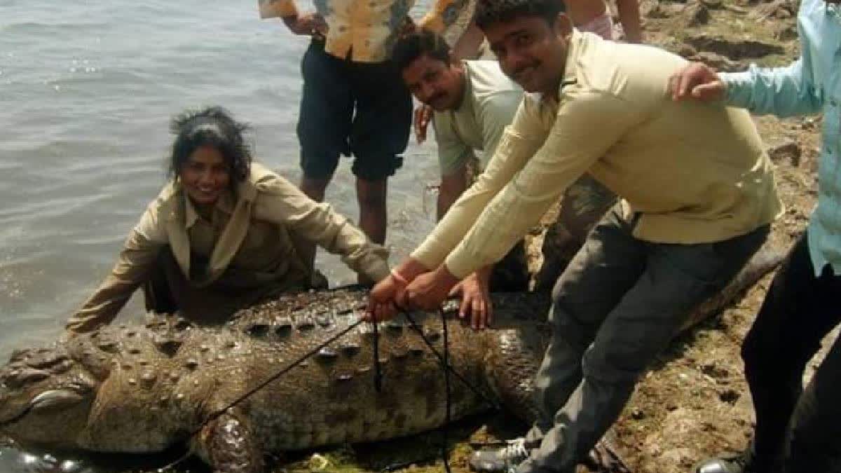 Women's Day Special: 1st Woman in Rajasthan to bag 'Van Durga' for wildlife conservation