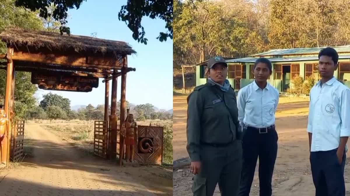 narmdapuram satpura tiger reserve