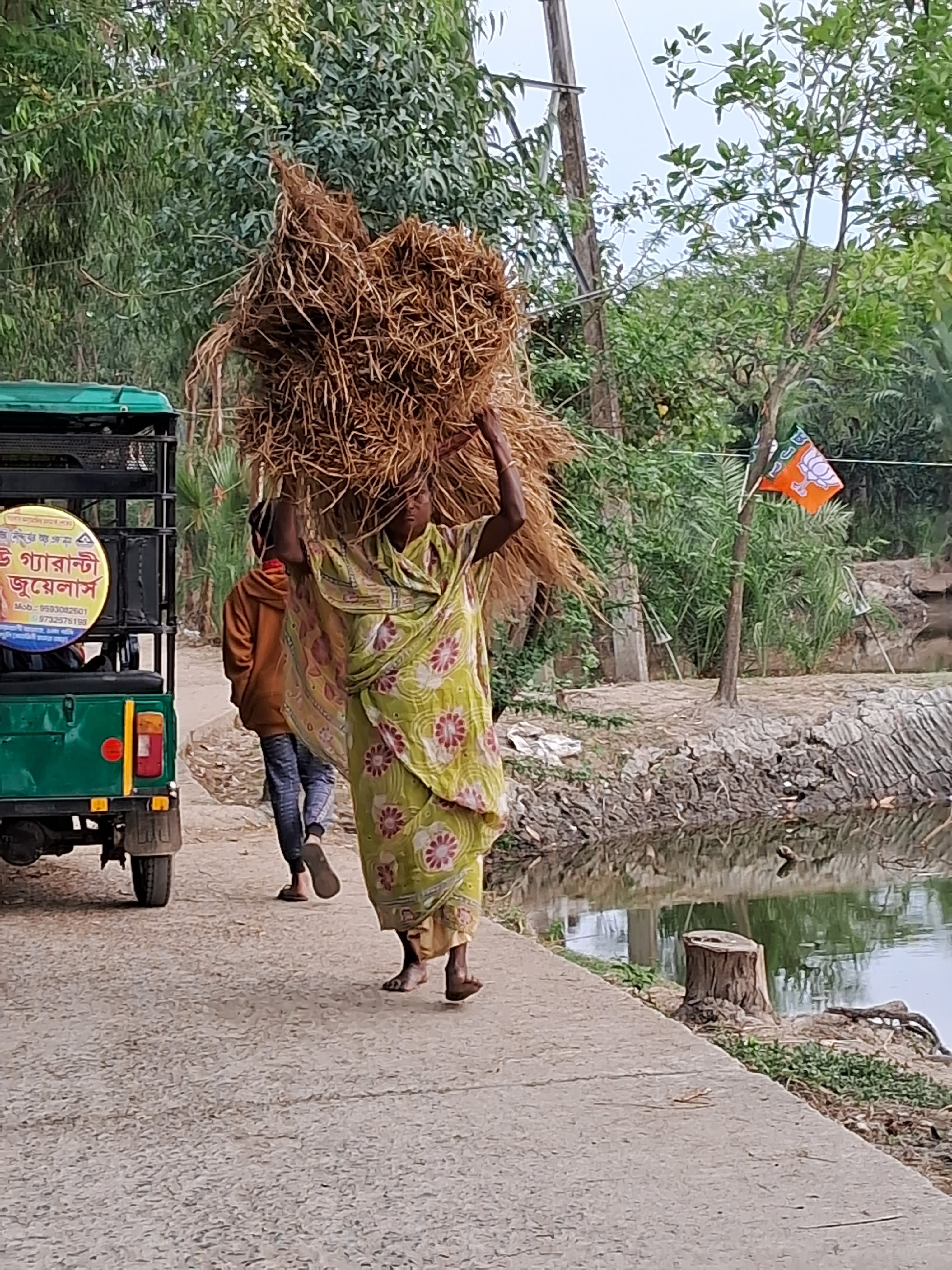 Picture of Sandeshkhali