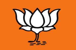 Haryana Lok Sabha Seat BJP Candidate