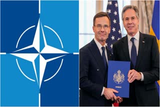 Sweden Joins NATO