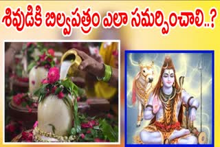 Rules Before Presenting Bilvapatra To Lord Shiva