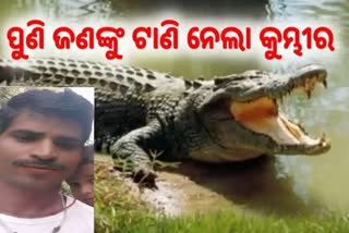 Crocodile attack in Kendrapara