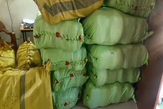 Sagar 655 Kg Ganja Seized