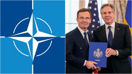 Sweden Joins NATO