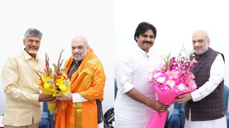 Chandrababu Naidu  Pawan Kalyan met with Amit Shah  ടിഡിപി എൻഡിഎ സഖ്യം  ചന്ദ്രബാബു നായിഡു