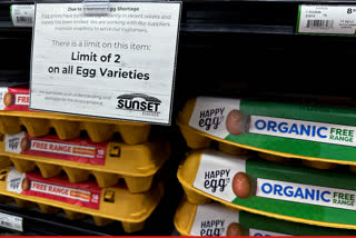 Egg prices are skyrocketing in America. A dozen eggs are available in supermarkets for $10.99.