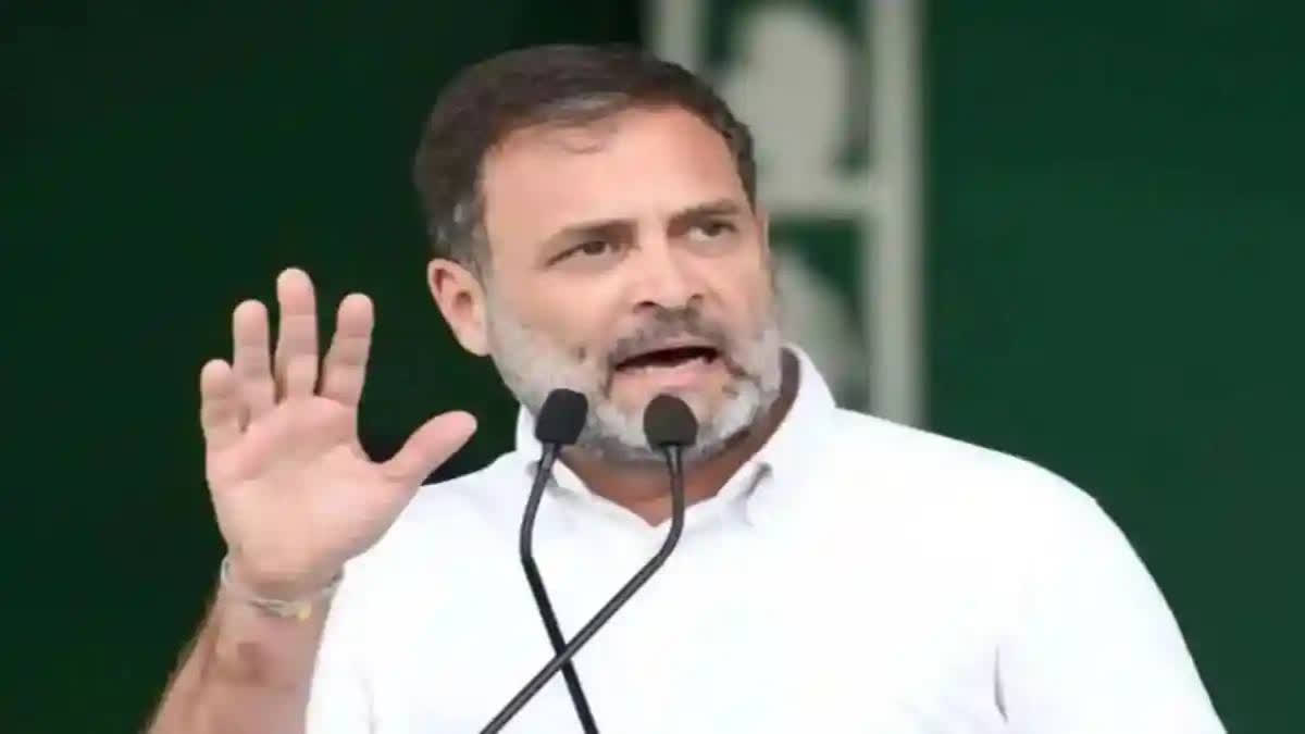 According to a senior AICC functionary, the entire focus is on Rahul Gandhi's Wayanad seat, with polling scheduled for April 26. The Amethi and Rae Bareli polls are scheduled for May 20. The window for nominations is from April 27 to May 3. The possible election decision is likely after April 26.