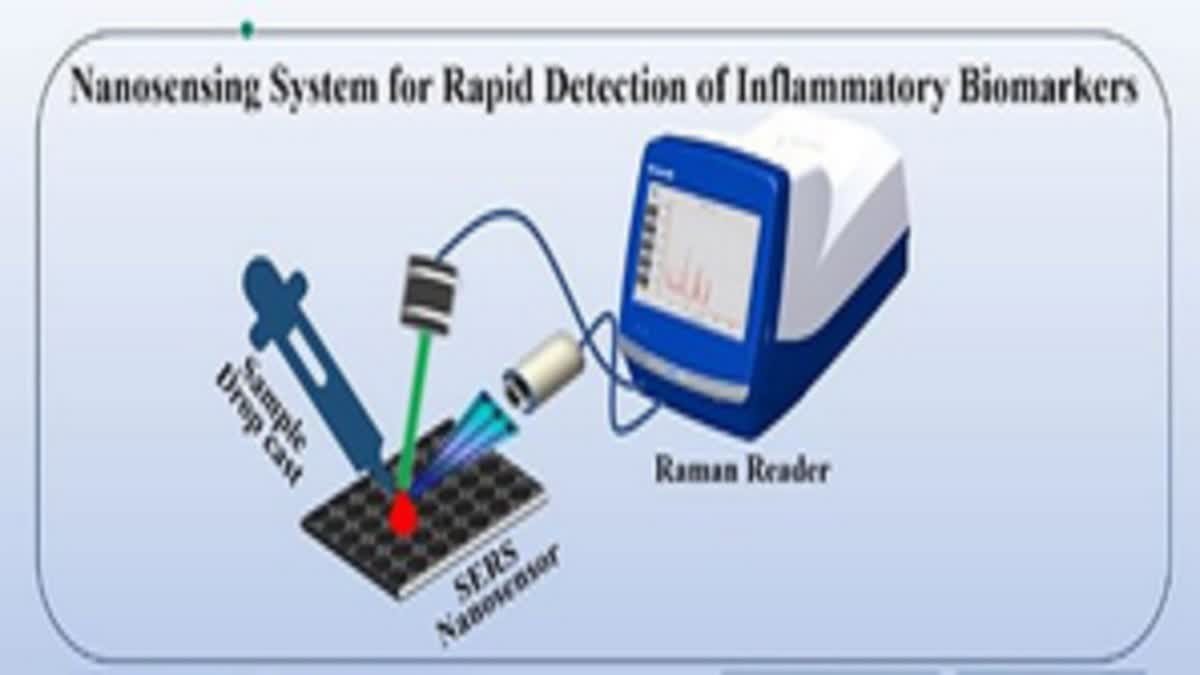 New nano sensor