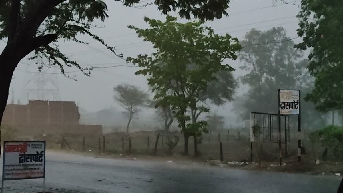 Rain in Gaurela Pendra Marwahi