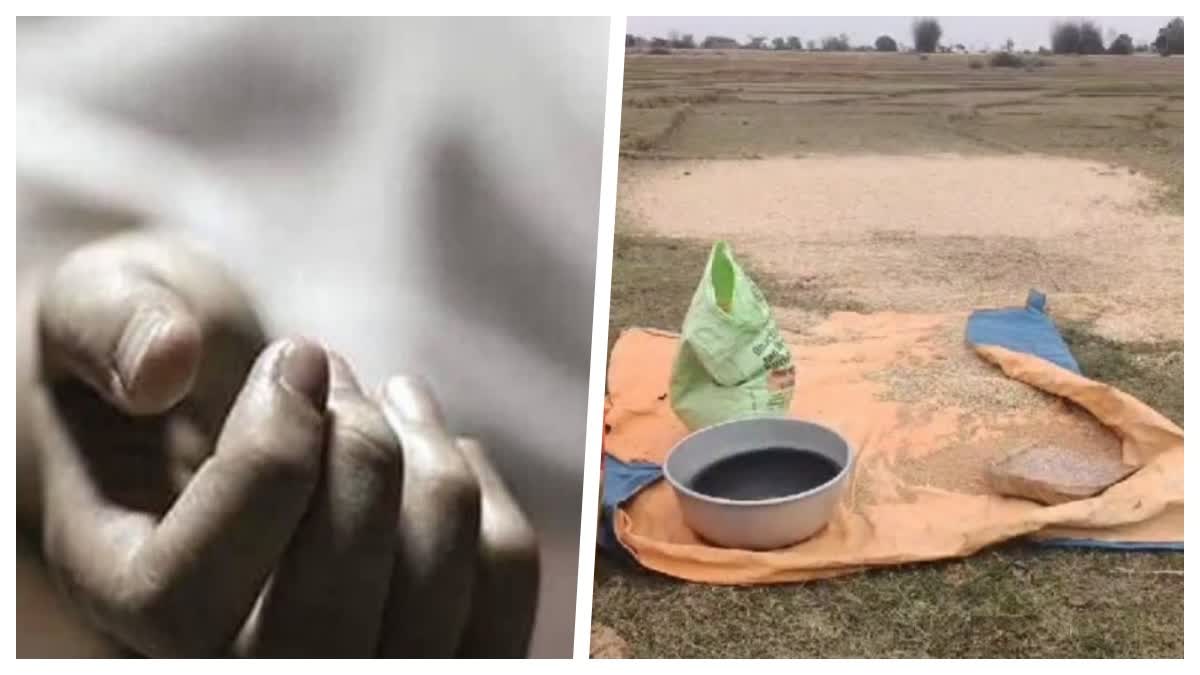 Accident While Threshing Wheat