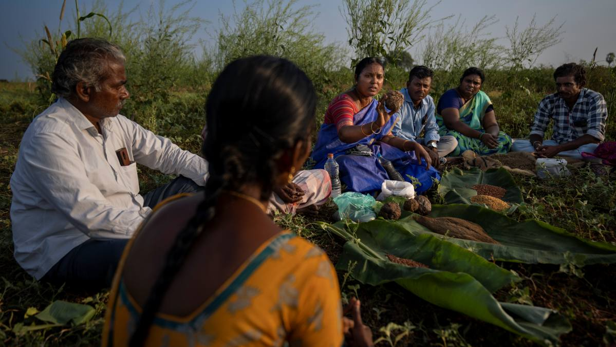 Rooted in traditional agricultural practices, natural farming emphasises harmony with nature and biodiversity. In climate change-induced heat, farmers in Andhra Pradesh are adopting natural farming techniques to foster resilience against climate change, mitigating the impacts of extreme weather events.