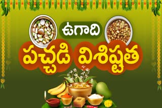 Ugadi Pachadi Special Story