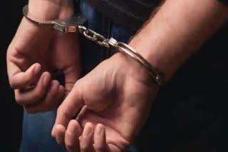 Fake custom officers arreted