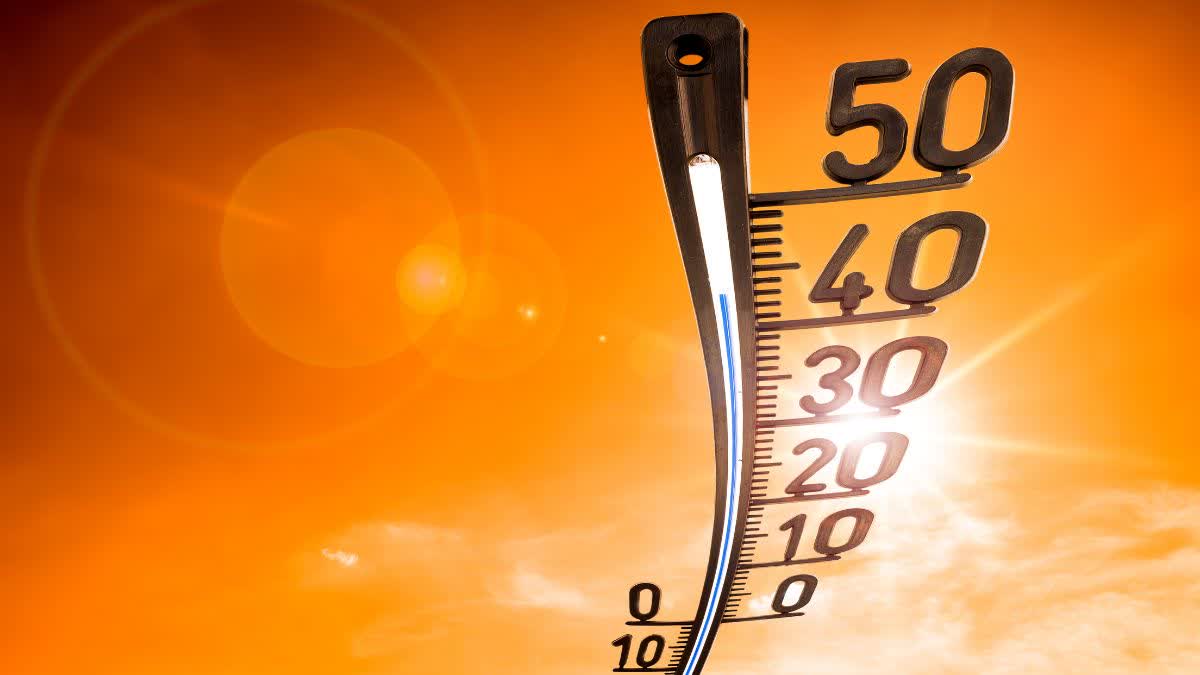 MP WEATHER UPDATE NEXT 3 DAYS