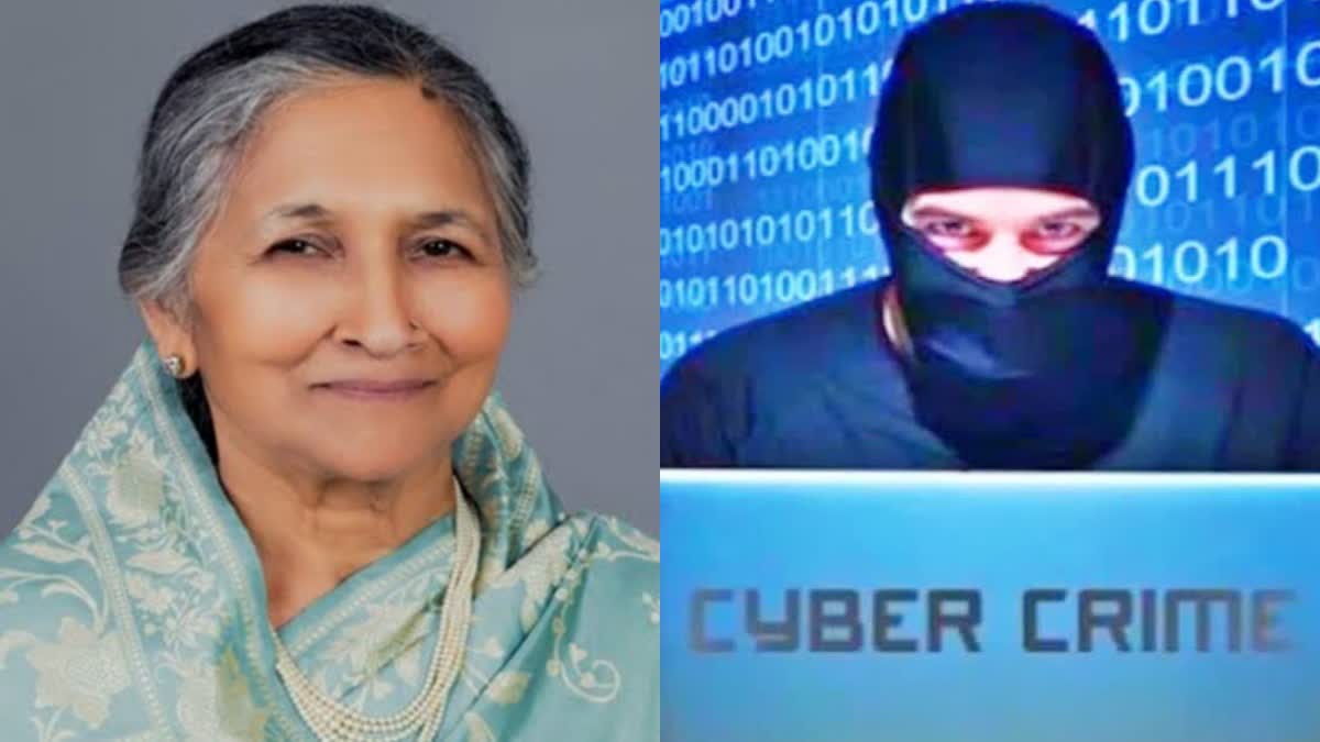 Cyber Fraud in Hisar