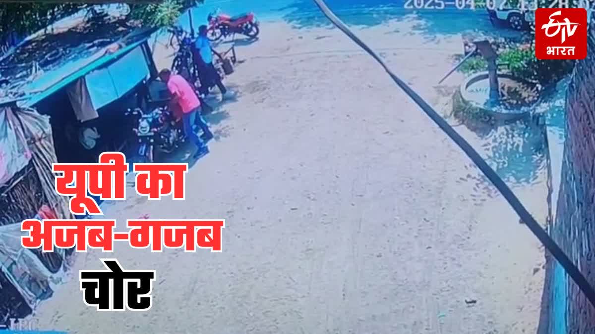 ETV Bharat