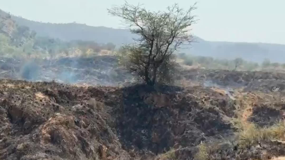 fire in mehandipur balaji forest area