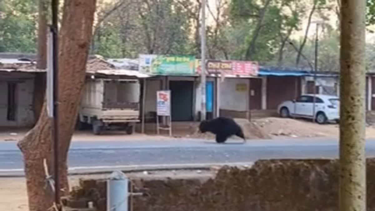 Beer spread fear in Danikundi Village
