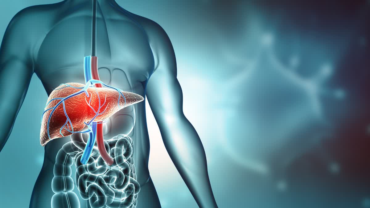 JUICES TO DETOXIFY LIVER  NATURAL REMEDIES FOR LIVER FAT  BEST DRINKS FOR LIVER HEALTH  FATTY LIVER DISEASE