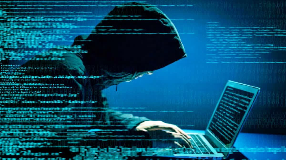 Cyber_frauds_with_fake_websites