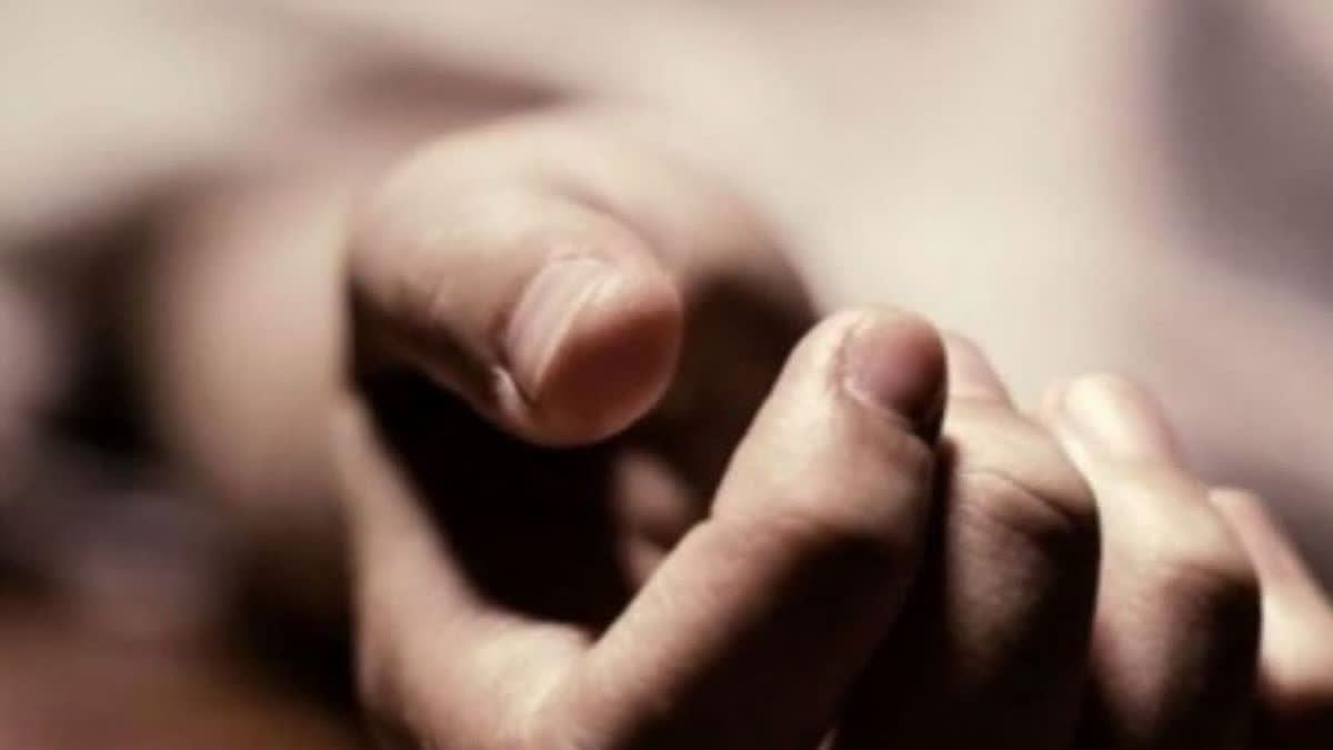 பிரதிநித்துவப்படம்