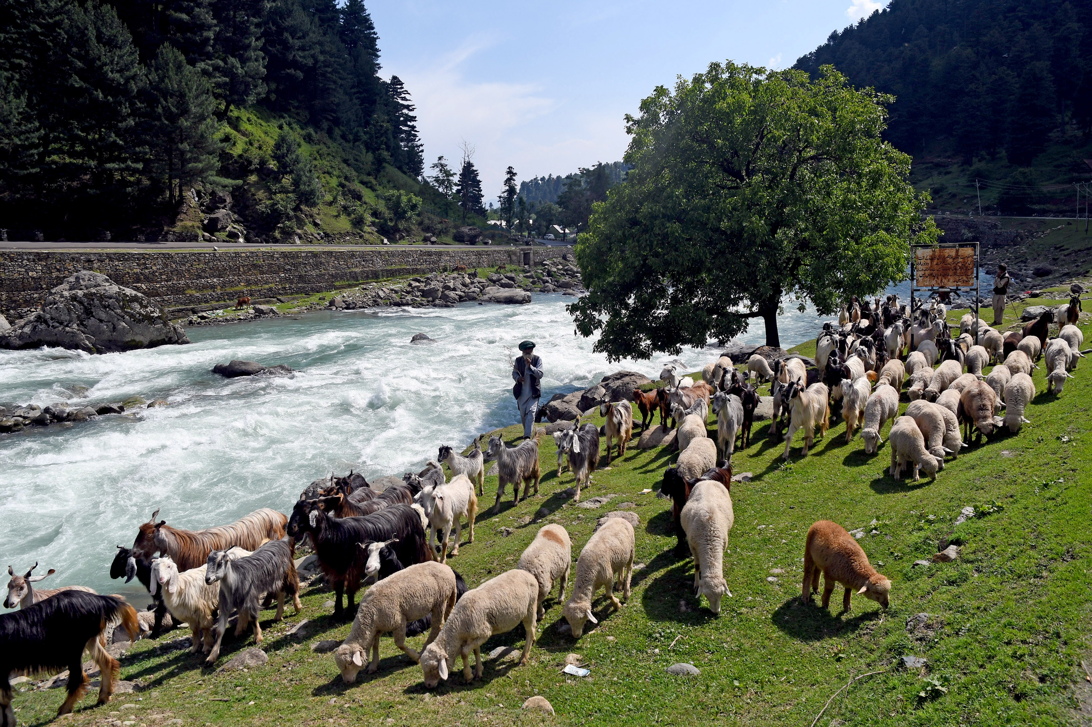 MAJOR ATTRACTIONS OF KASHMIR BEST SEASON TO VISIT KASHMIR കശ്മീര് യാത്ര എങ്ങനെ KASHMIR IN SPRING SEASON