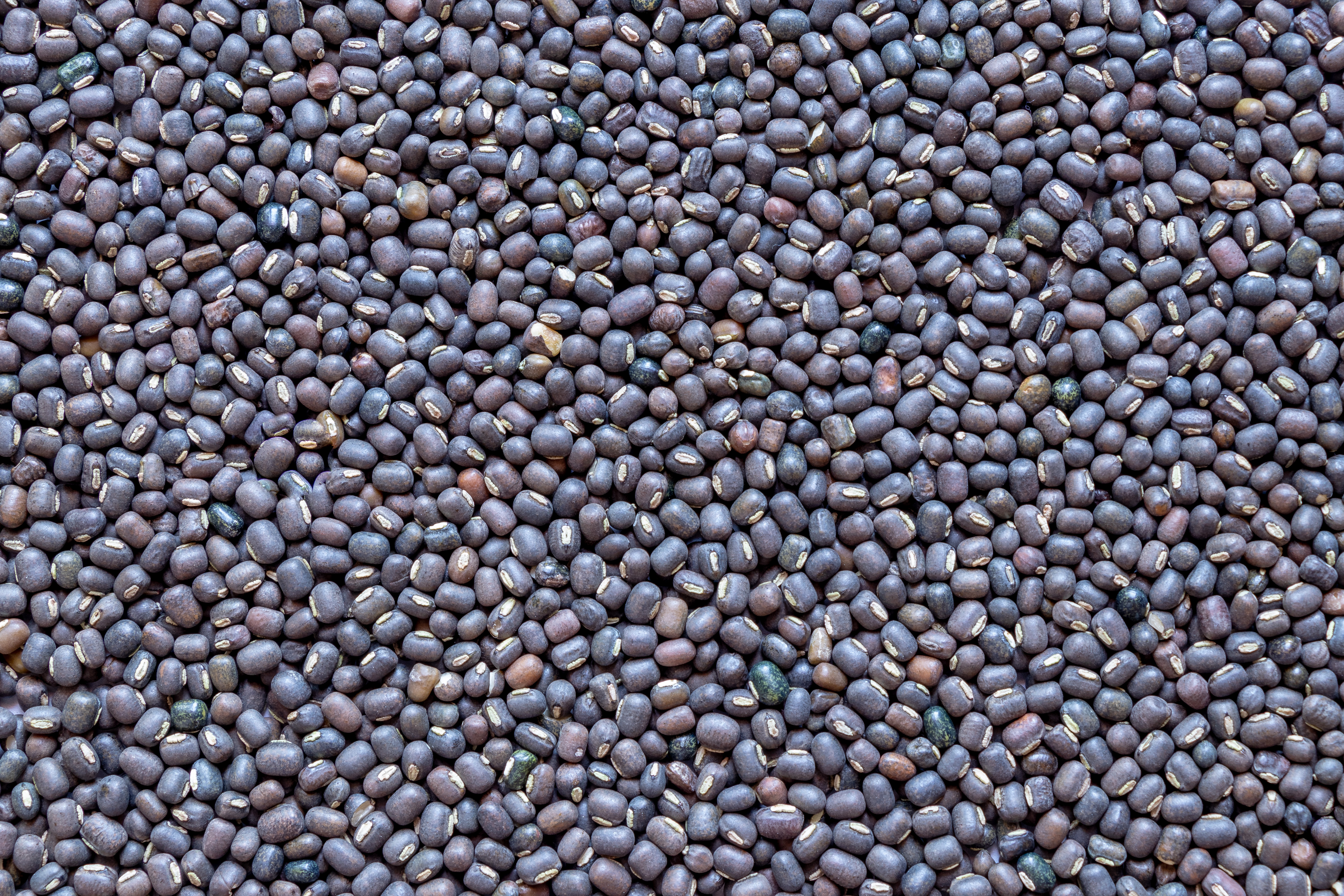 Black Urad Dal