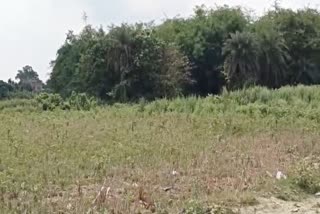 Gang Rape in Khardaha