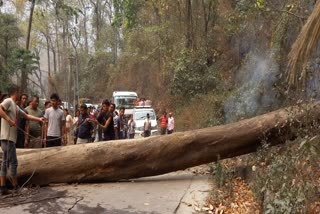Chitrey road accident