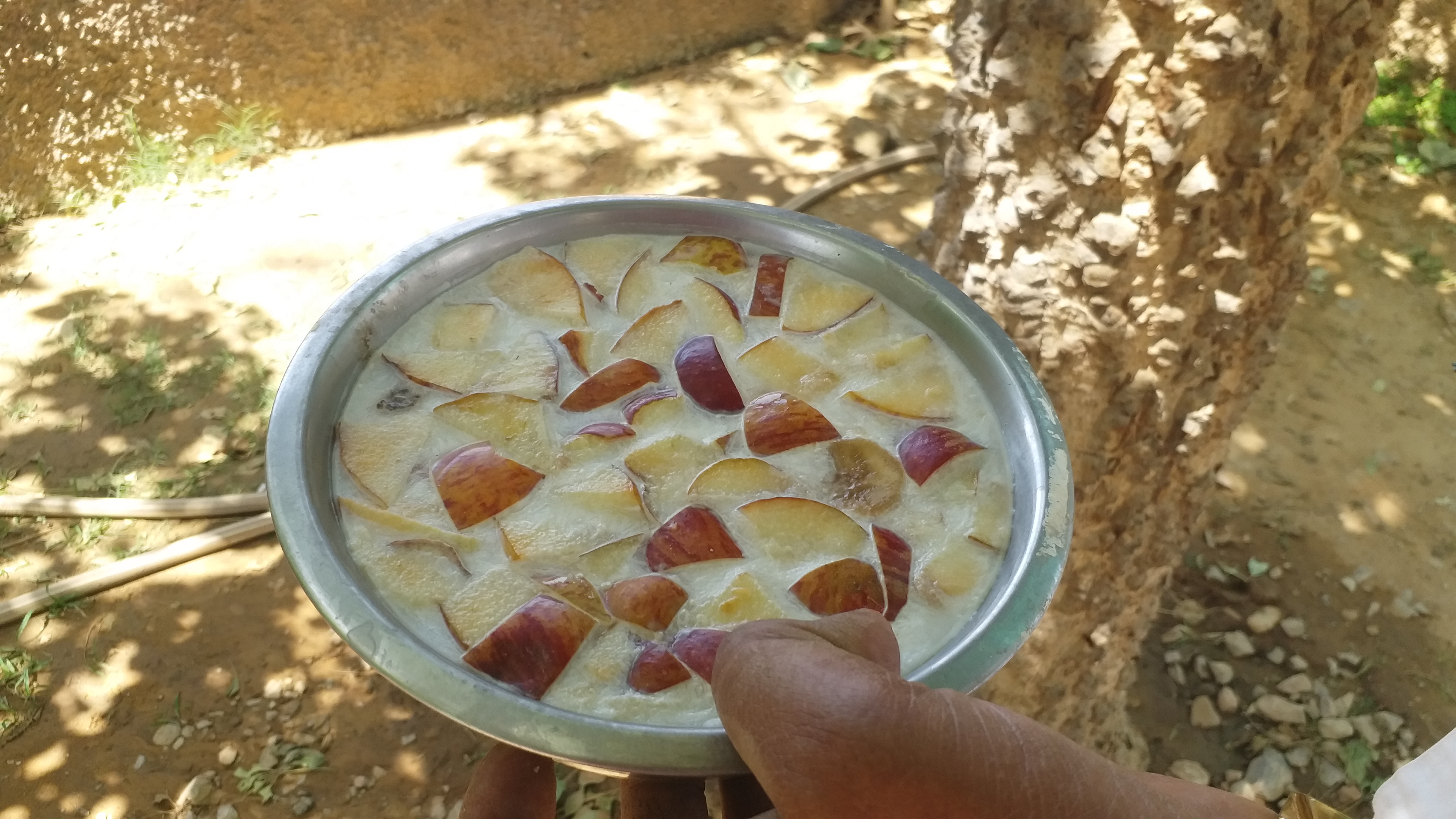 ठंडी और पौष्टिक चीजों का इंतजाम