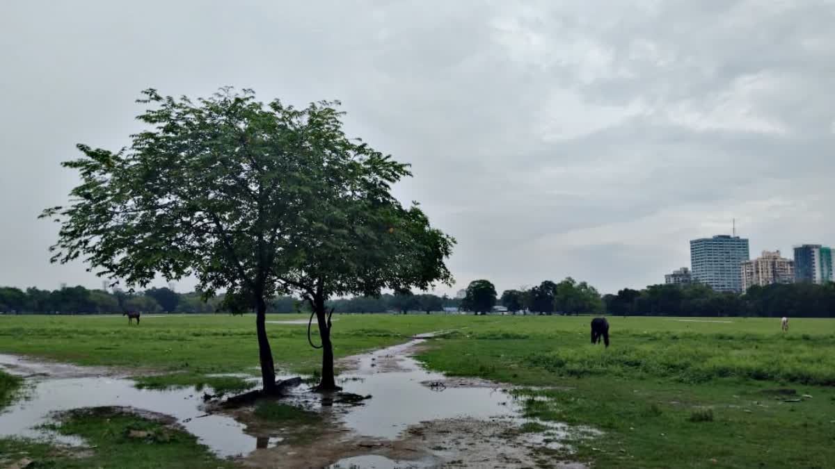 Rain or Thundershower likely