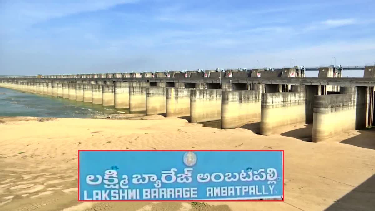 NDSA Report on Medigadda Barrage