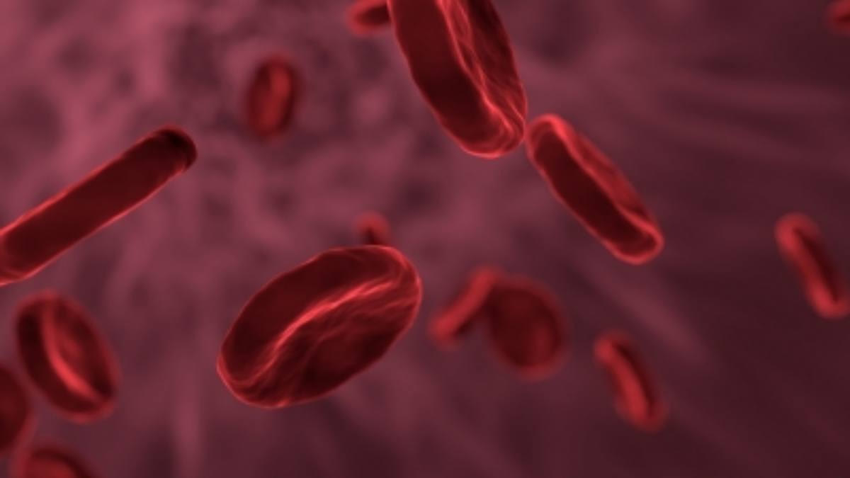 major reasons why India has the highest number of thalassemia in the world