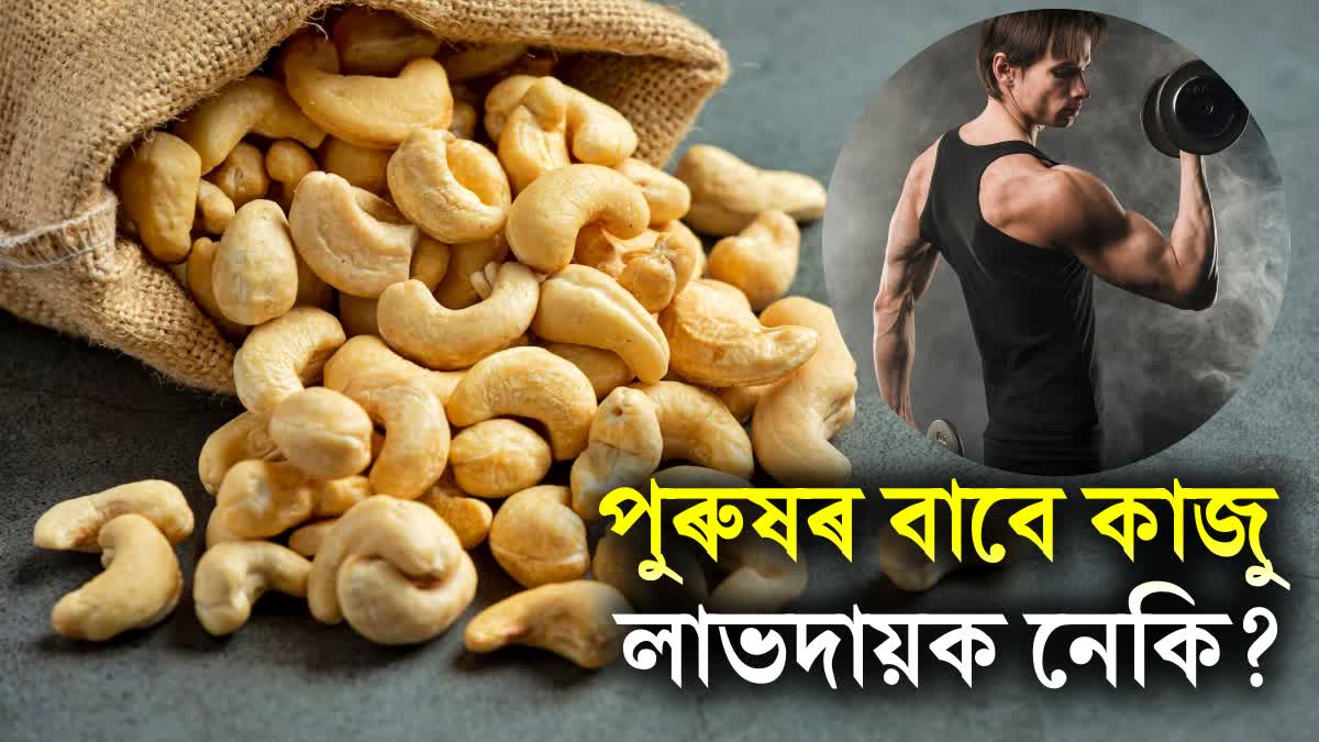 Cashew nuts are highly beneficial for men, as they can help prevent 5 common health problems