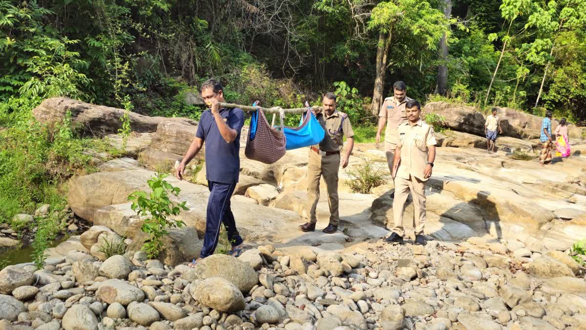 WOMAN COLLAPSED AND DIED  FOREST IN PATHANAMTHITTA  WOMAN DIED IN FOREST  യുവതി കുഴഞ്ഞു വീണു മരിച്ചു