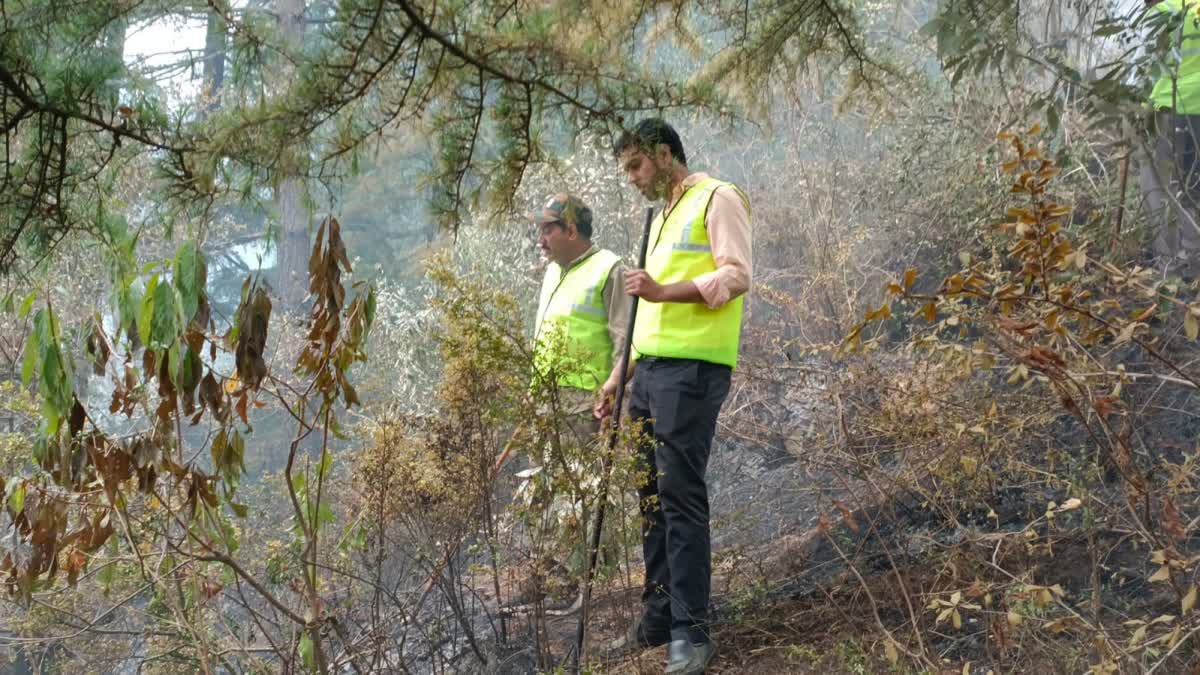 Forest Department Team