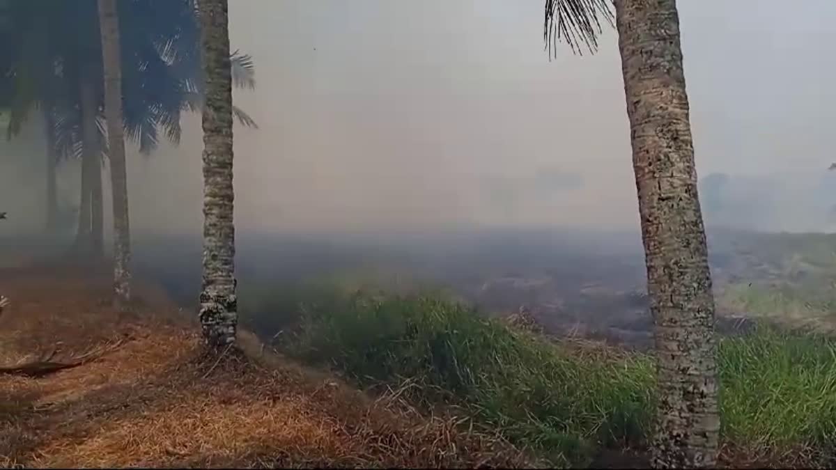 വൈക്കത്തെ വയലിൽ തീപിടിത്തം  നാറാണത്ത് പാടത്ത് തീപിടിത്തം  FIRE AT VAIKOM  FIRE AT FIELD