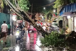 Thunderstorm affect Kolkata