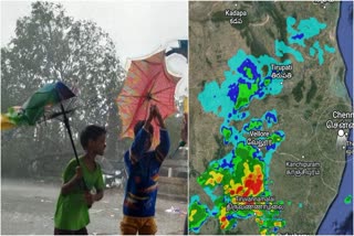 TN Rainfall Update